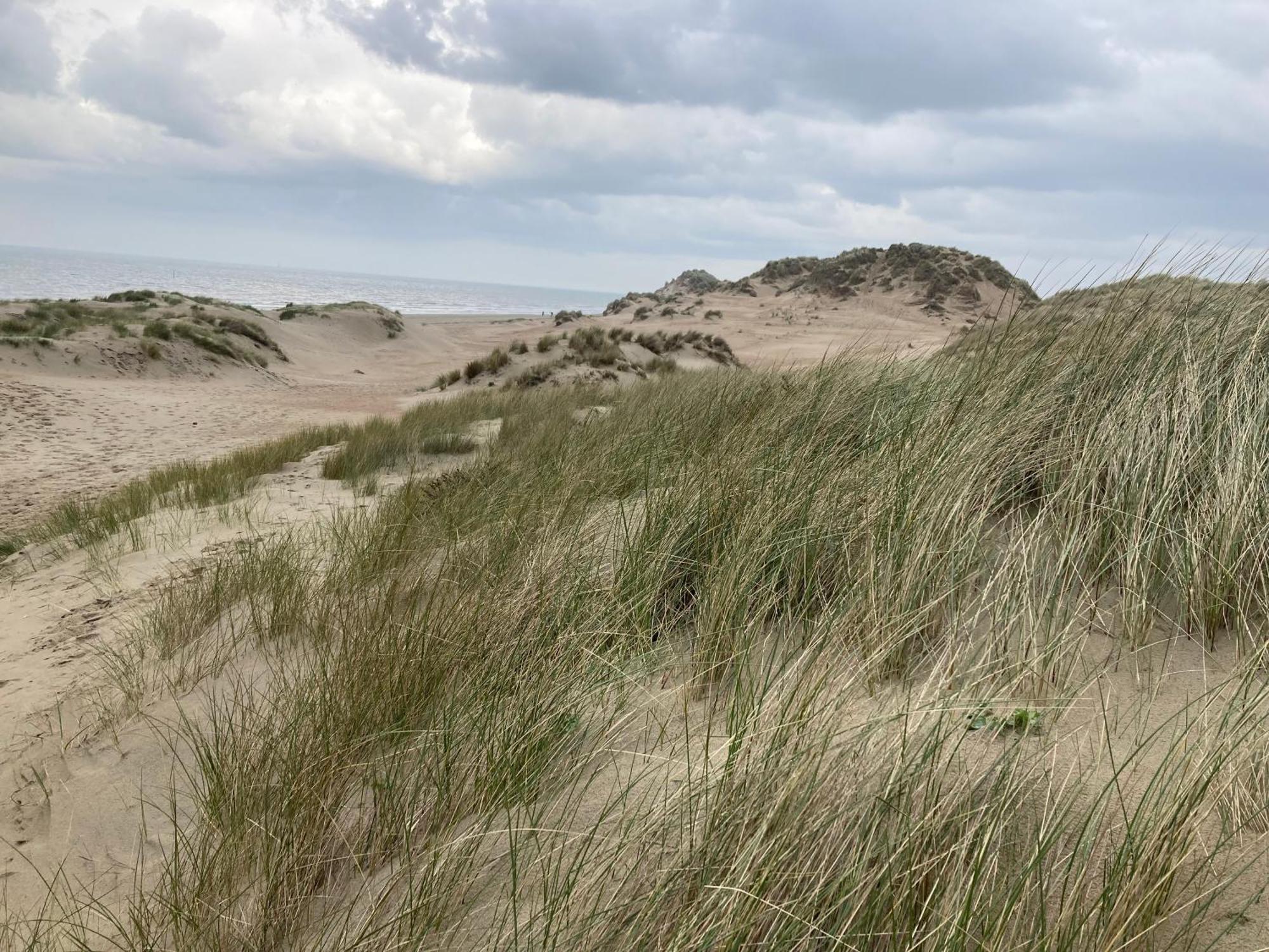 Villa Terduinen Oostduinkerke Exterior foto
